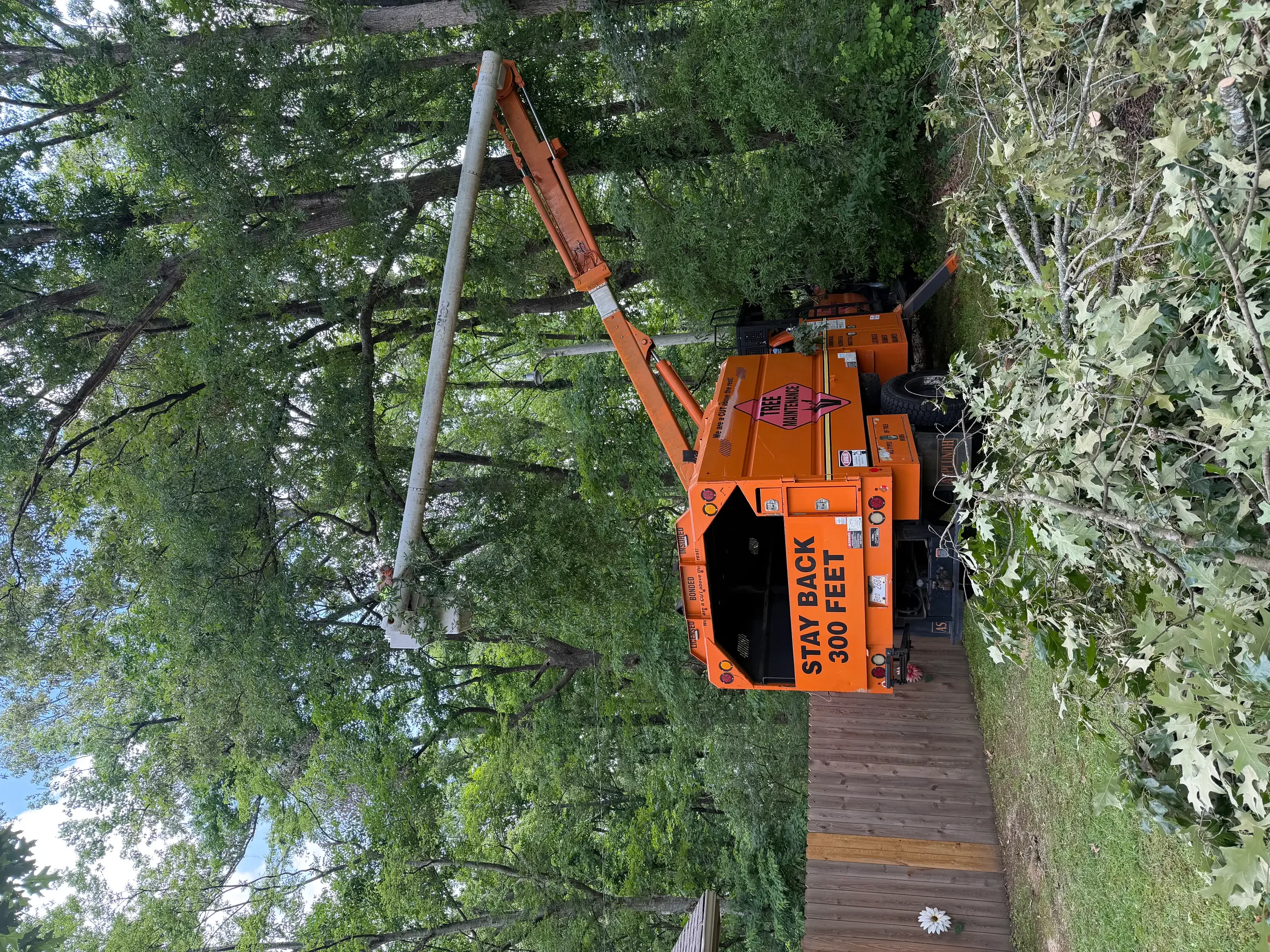 Orange bucket truck with extended boom removing tall tree branches in residential setting