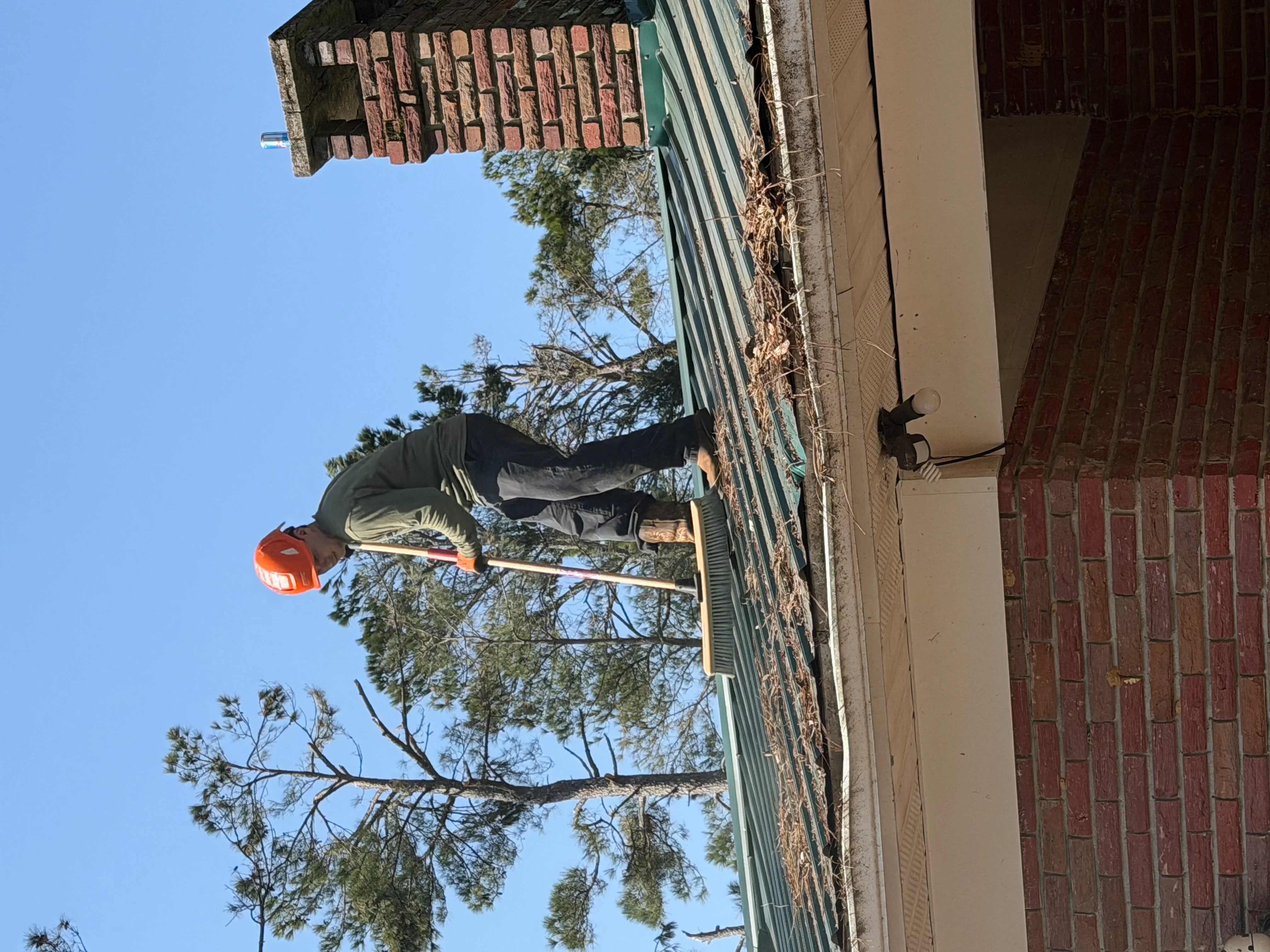 Tree service professional removing large tree near brick residential home