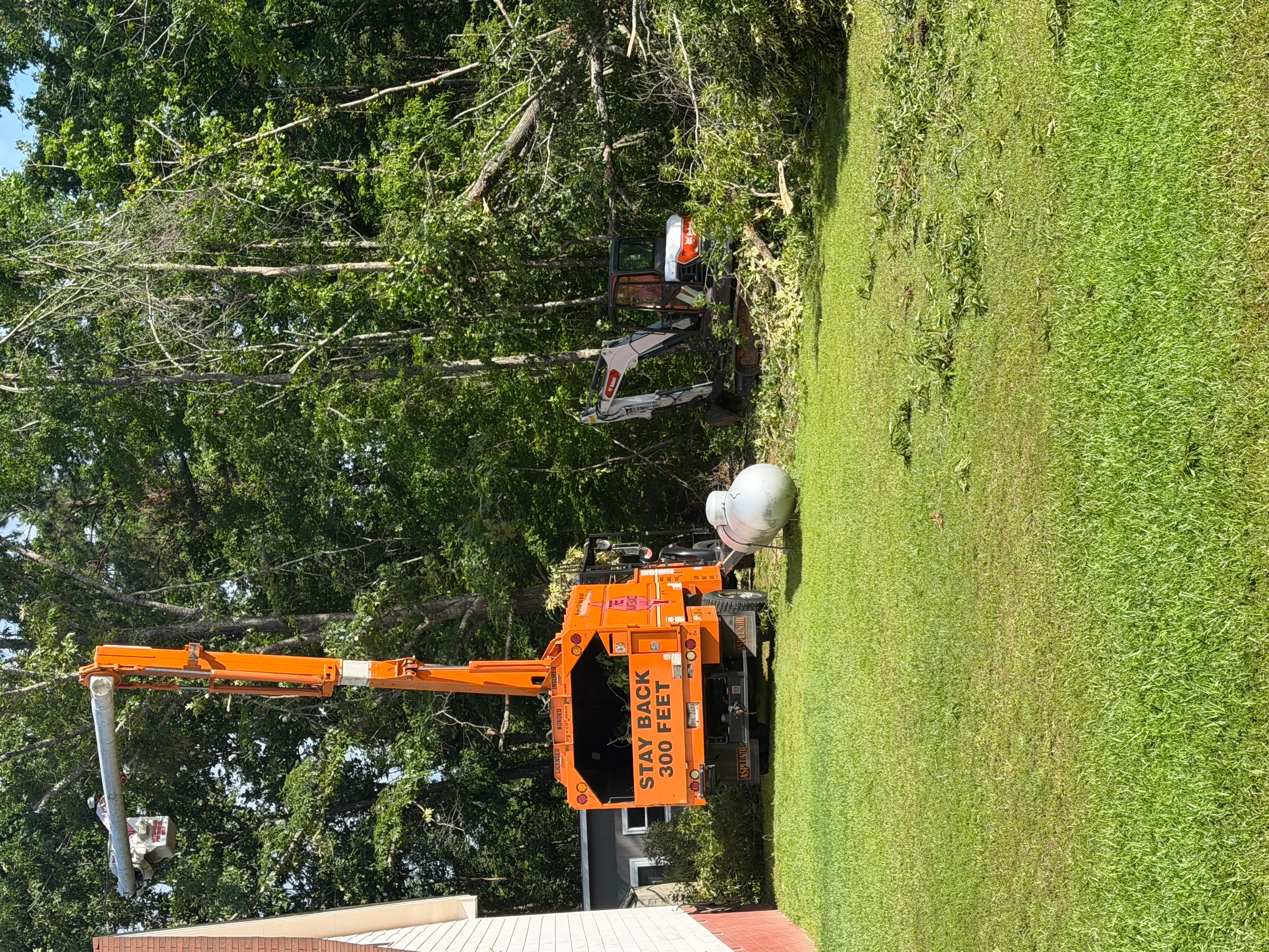 Boom lift operator removing tree limbs from tall mature trees in residential area