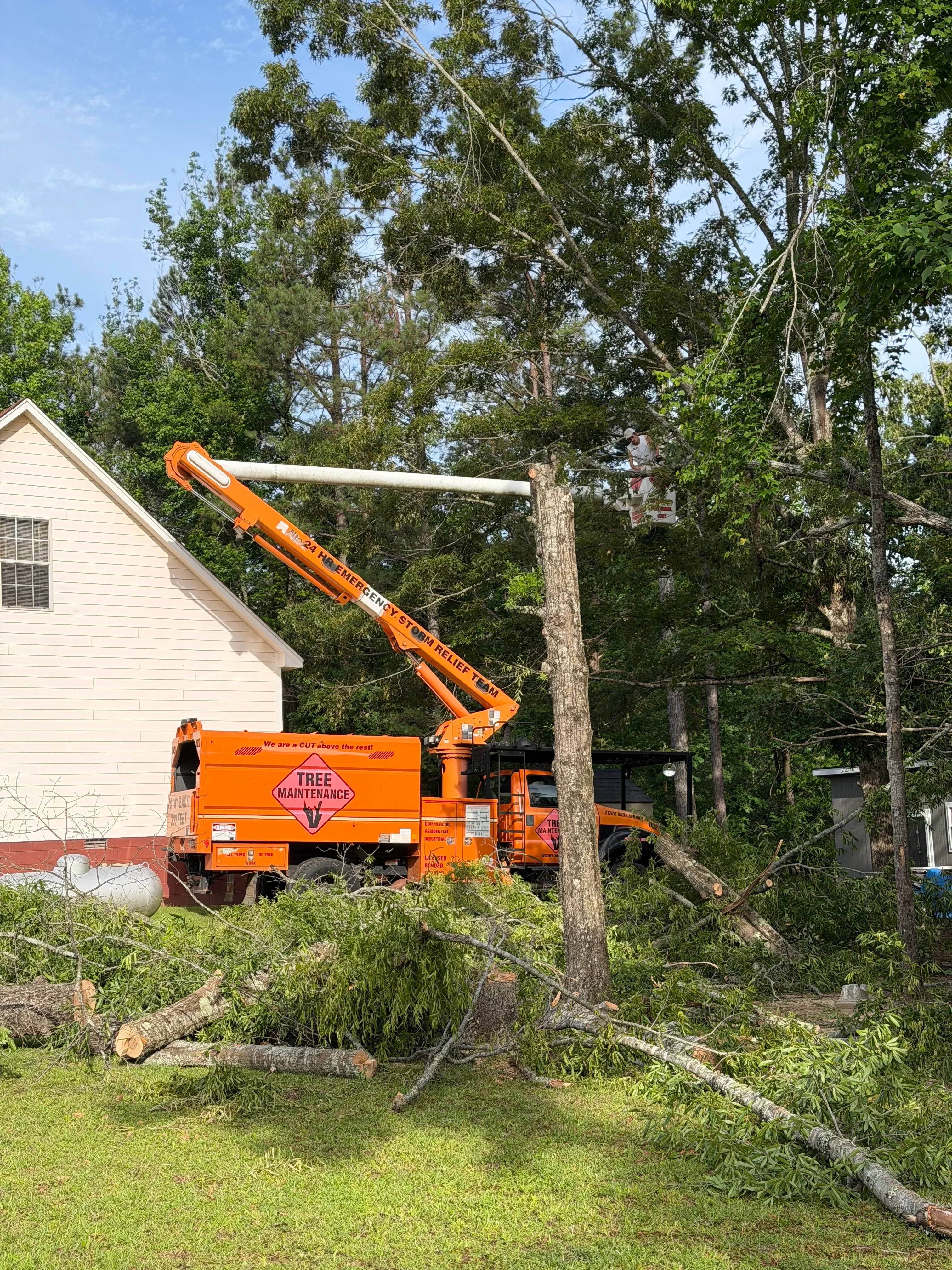 Orange bucket truck removing large tree near white residential home in Booneville