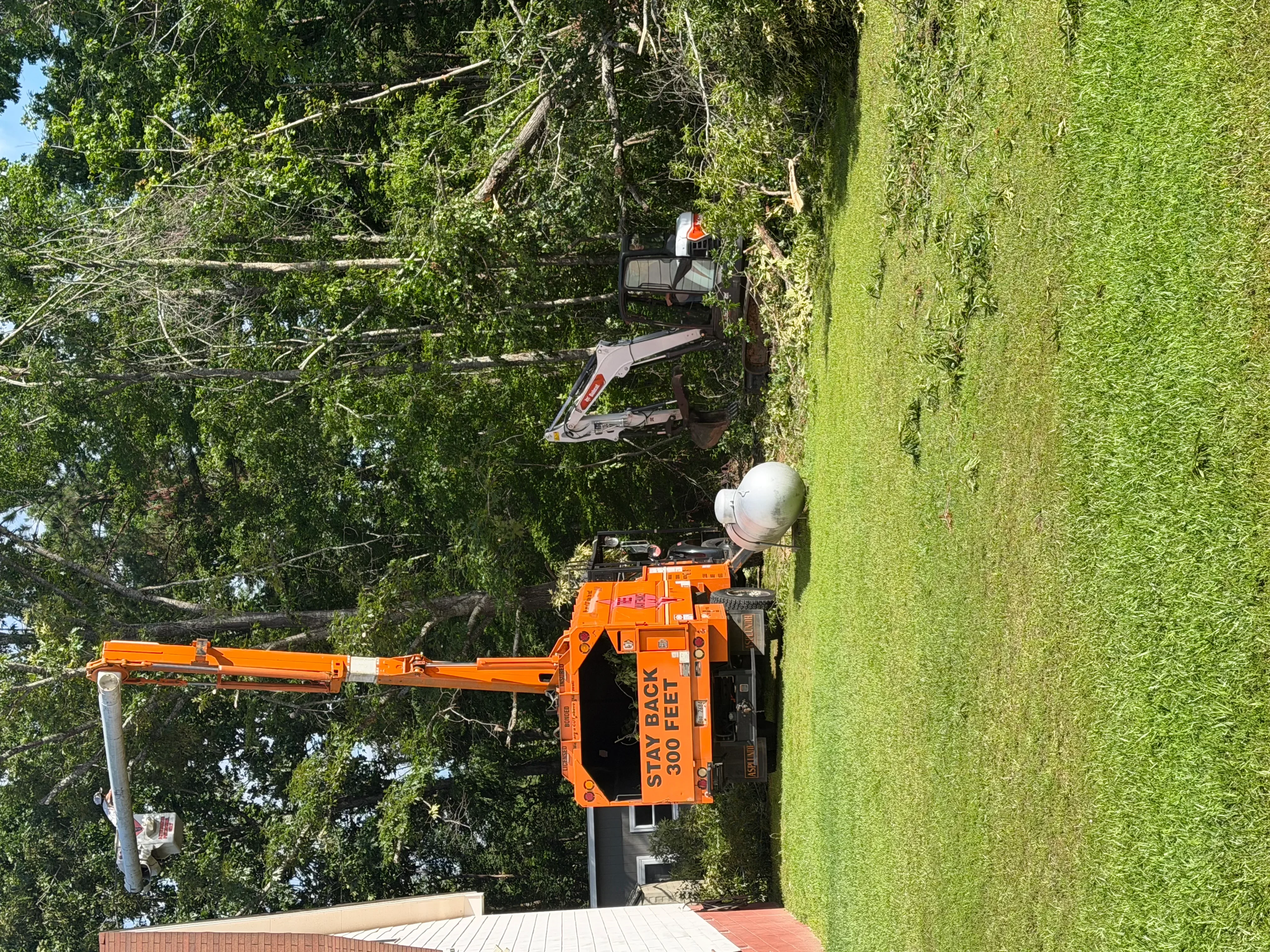Orange bucket truck with operator removing large tree branches from overgrown property