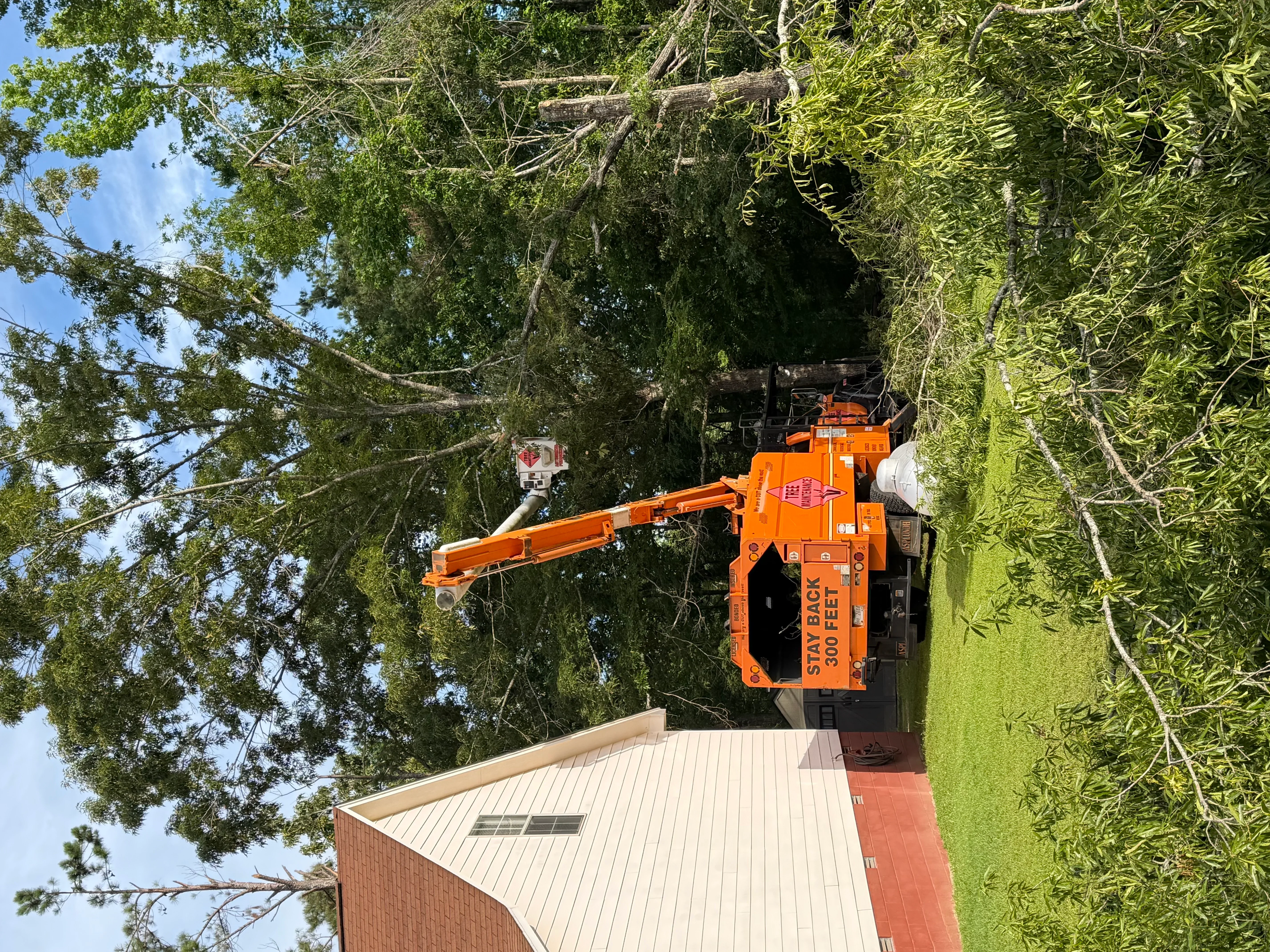 Orange boom lift removing tree limbs from residential property with brick home visible