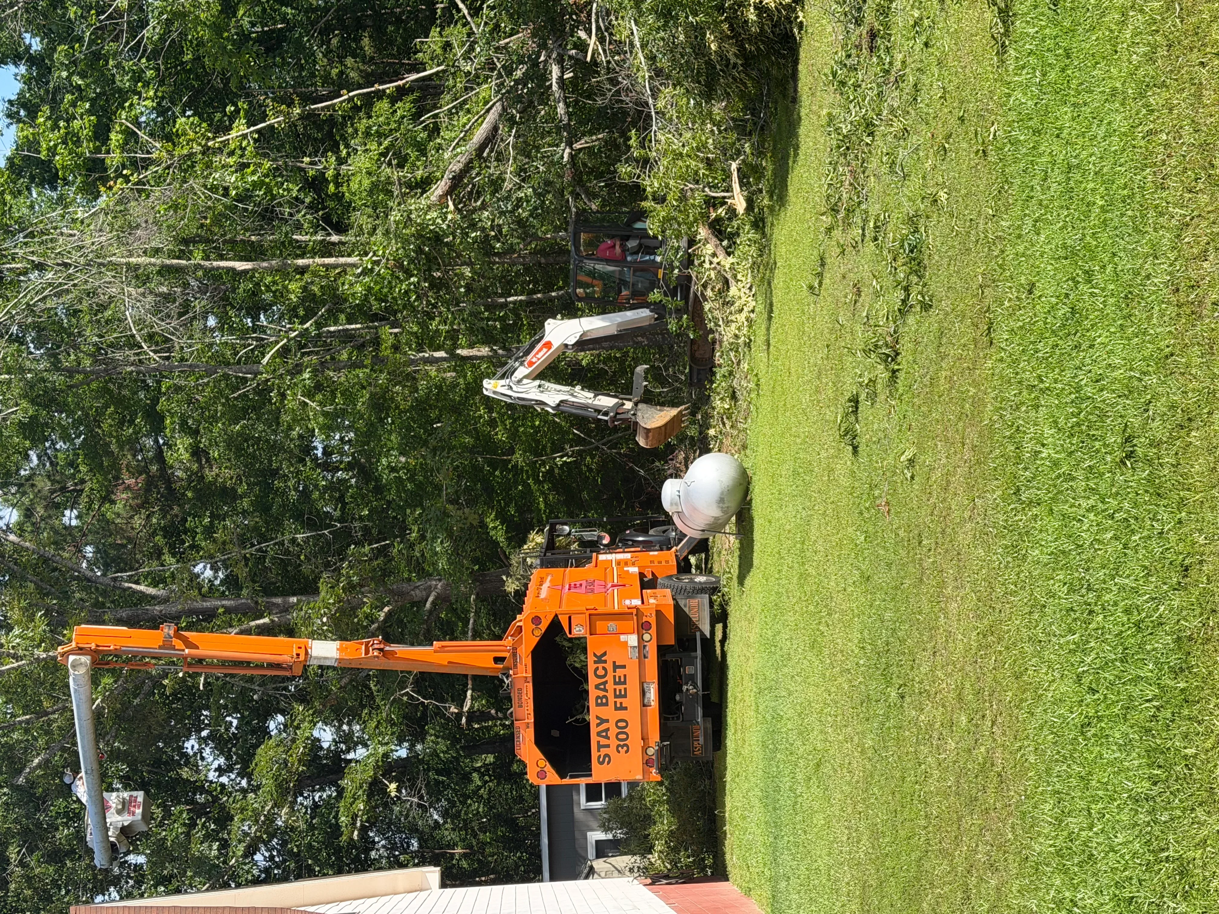 Orange bucket truck with operator removing large tree limbs from mature tree